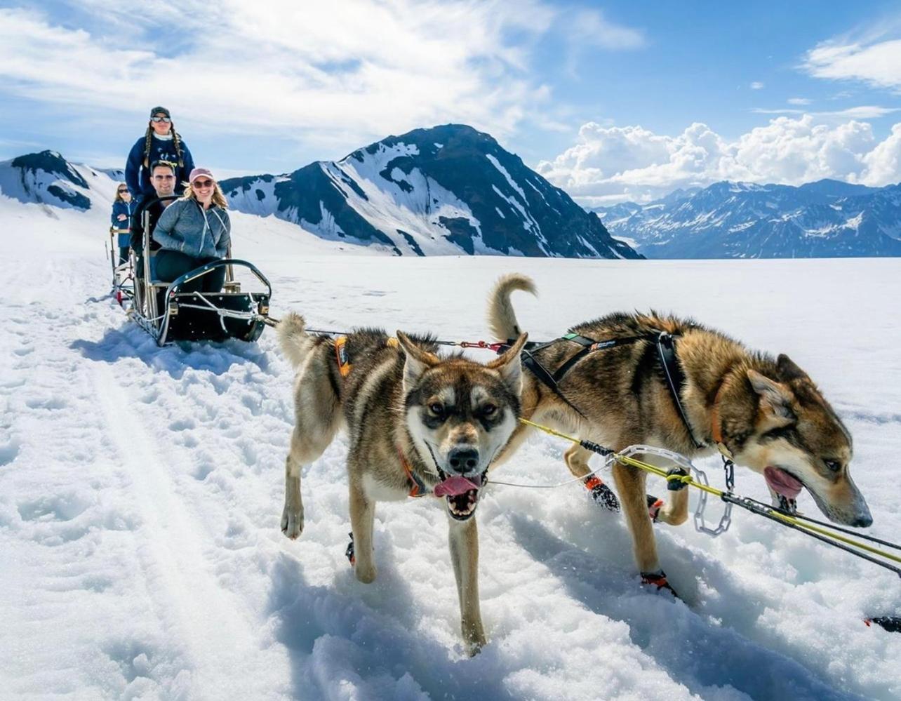 Alaska Glacier Lodge Palmer Eksteriør billede